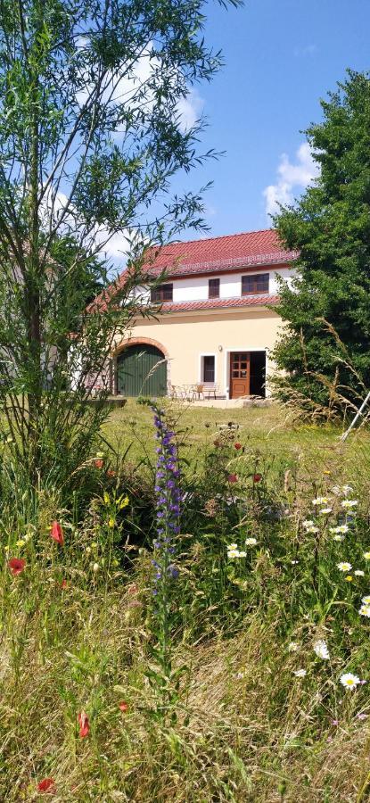 Ferienhof-Kuehn Hochkirch Екстериор снимка