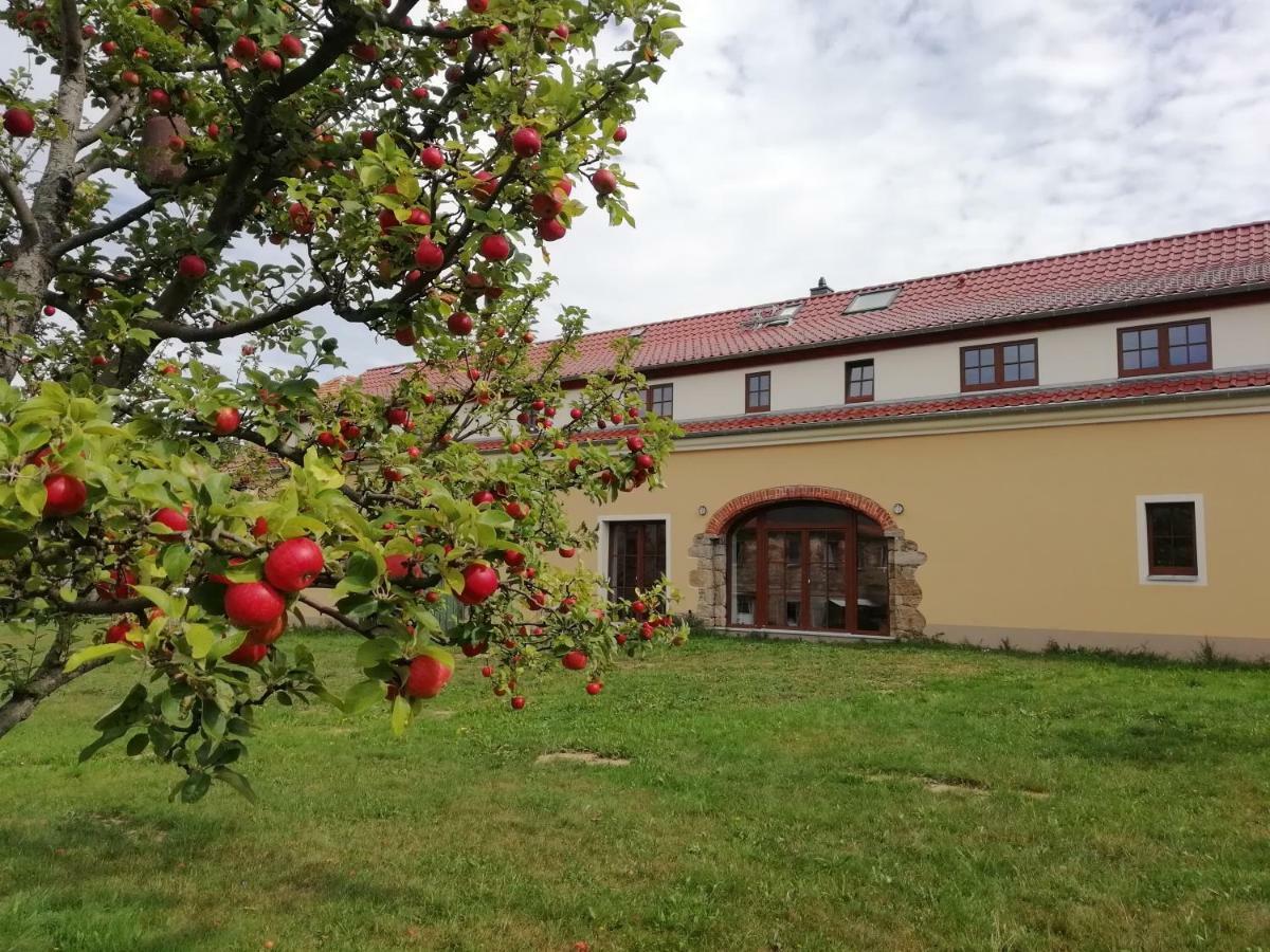 Ferienhof-Kuehn Hochkirch Екстериор снимка